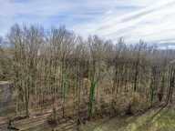 Terrain constructible - 6783 m² - Boisé - — photo 4