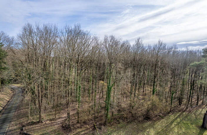 Terrain constructible - 6783 m² - Boisé - — photo 4