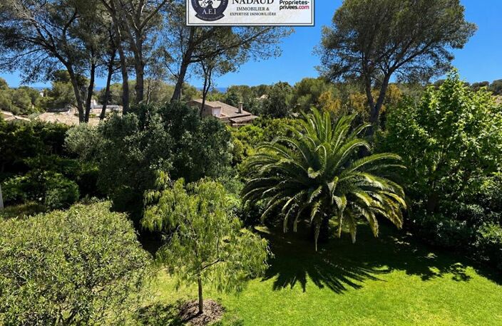 Studio à 600m coeur village, plage à pied, clim, au sein d'une véritable pinède — photo 4