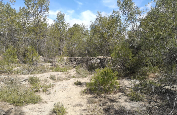 À Vacquières (34), terrain à vendre 3.6 Hectares — photo 2