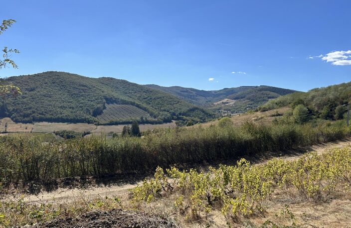 Vignes — photo 3