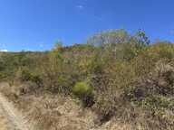 Vignes — photo 4
