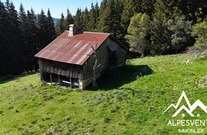 Chalet le 1310 — photo 5