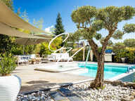 SEYSSINS - Villa prestigieuse avec piscine et jacuzzi donnant su — photo 2