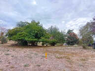 Vacquiers proche centre beau terrain à bâtir arboré de 750 m² — photo 3