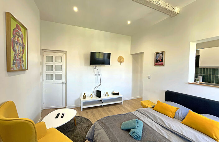TOULOUSE - SUD GUILHEMERY - studio de 25,58 m²  lumineux avec climatiseur — photo 3