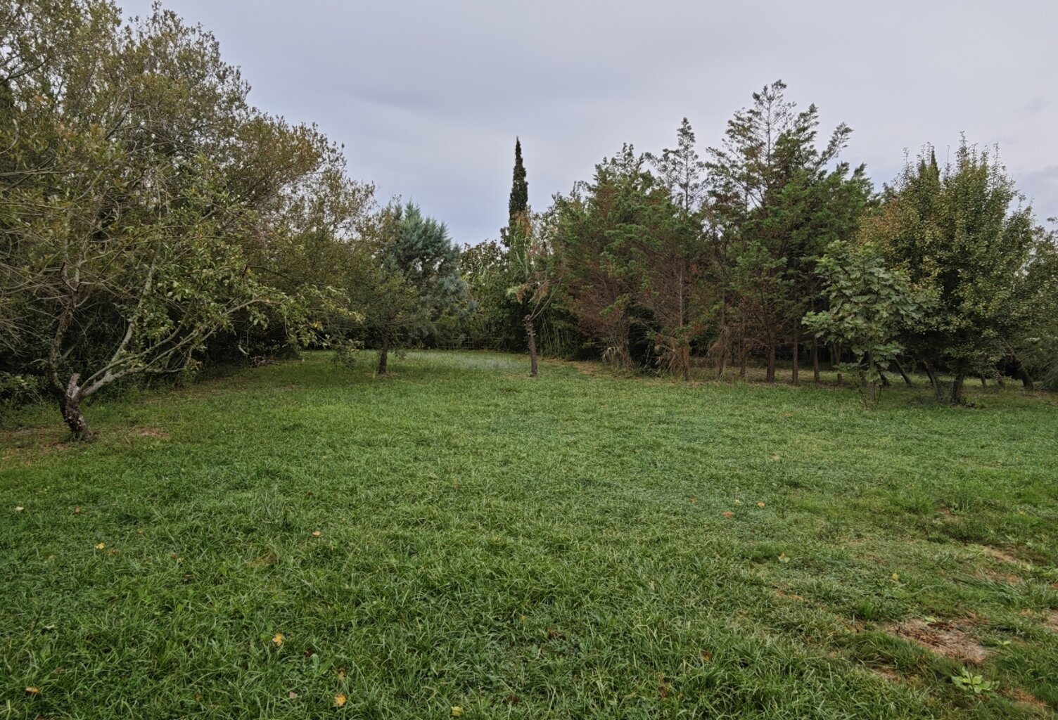 Vente Terrain 1 480 m&sup2; — photo 1
