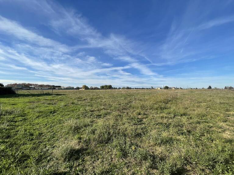 Terrain — photo 1