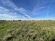 Terrain — photo 4