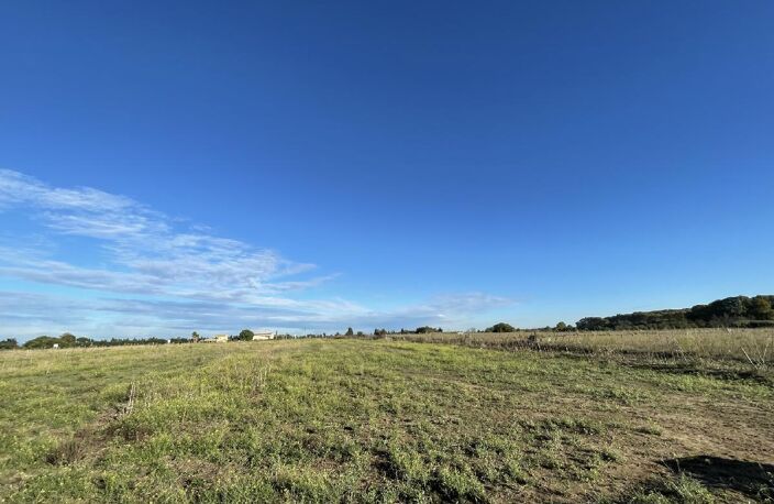 Terrain — photo 5