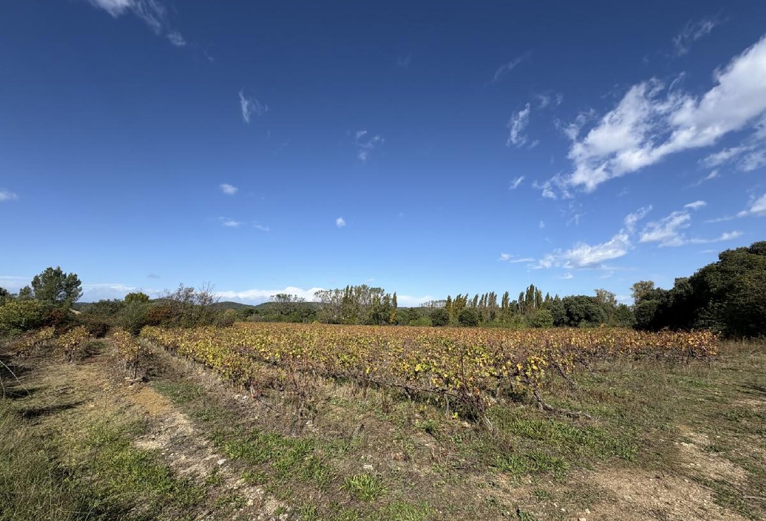Terrain — photo 1