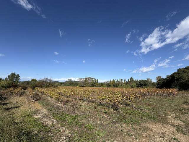 Terrain — photo du bien