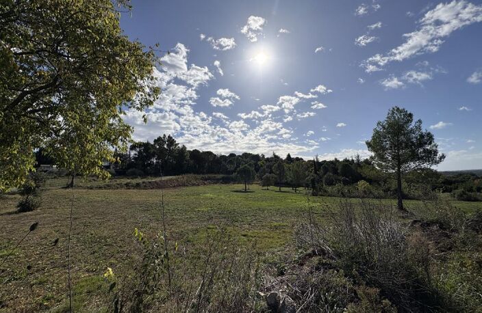 Terrain — photo 2