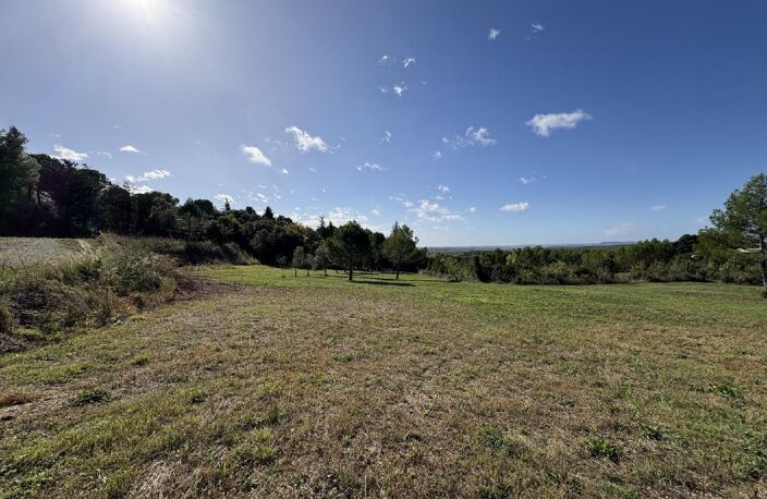 Terrain — photo 4