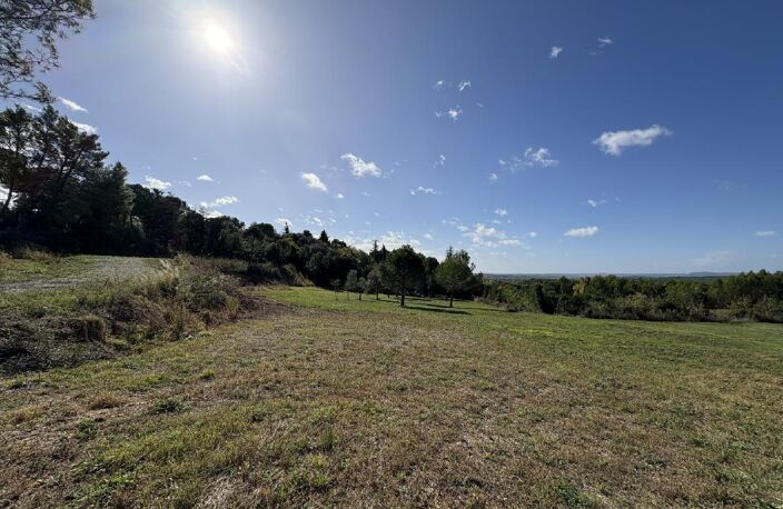 Terrain — photo 5
