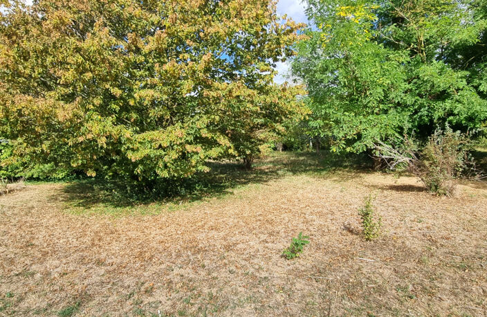 Axe Châteaudun-Orléans — photo 5