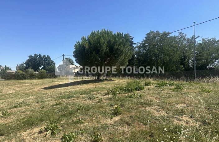 Terrain — photo 2