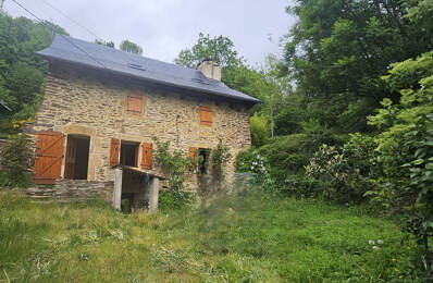 Maison Prades D Aubrac - Terrain — photo du bien