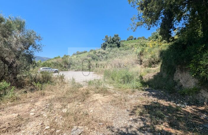 Terrain agricole — photo 5