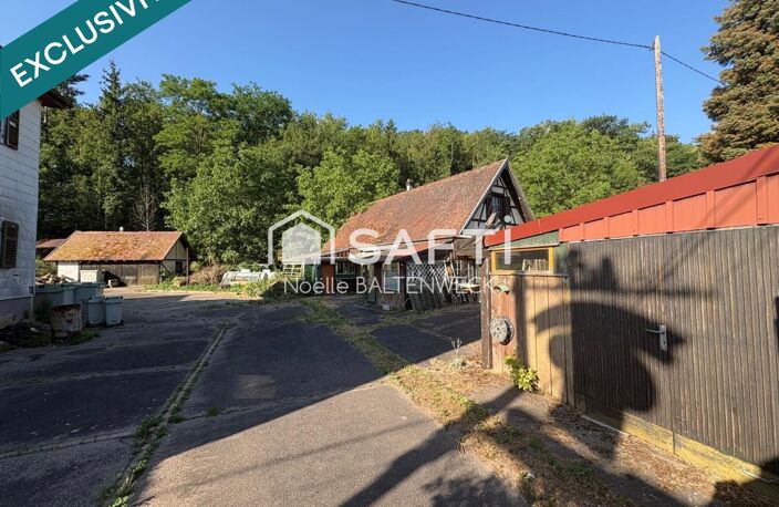 Ancien restaurant sur beau terrain face Haut-Koenigsbourg — photo 2