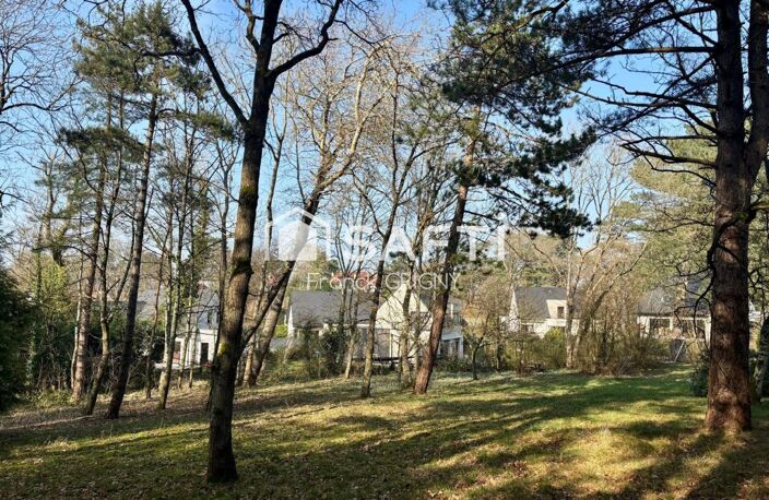 Terrain individuel  constructible en zone boisée — photo 3
