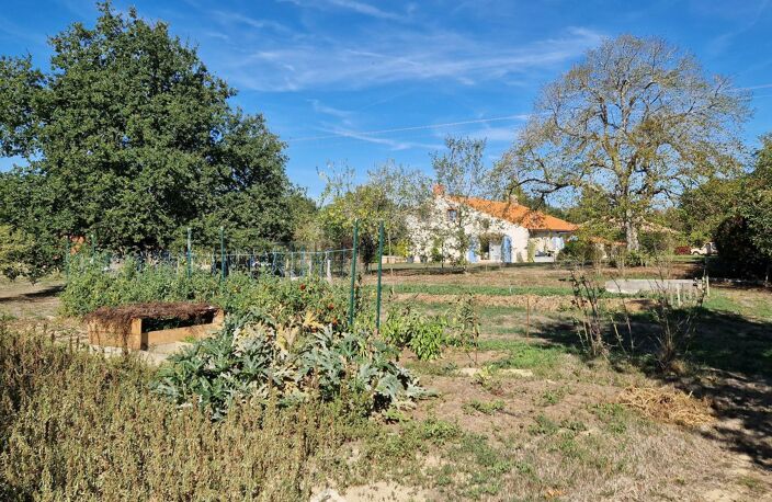 Maison - 232m² - Venansault — photo 5