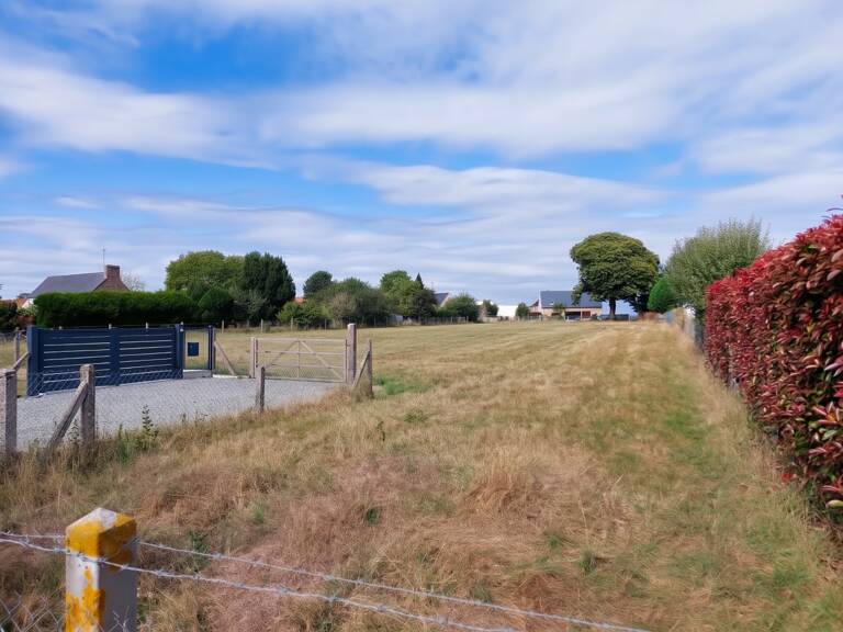 Terrain — photo 1