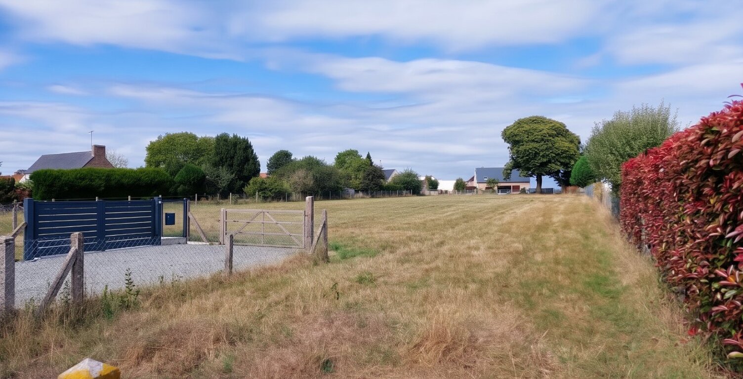 Terrain — photo 1