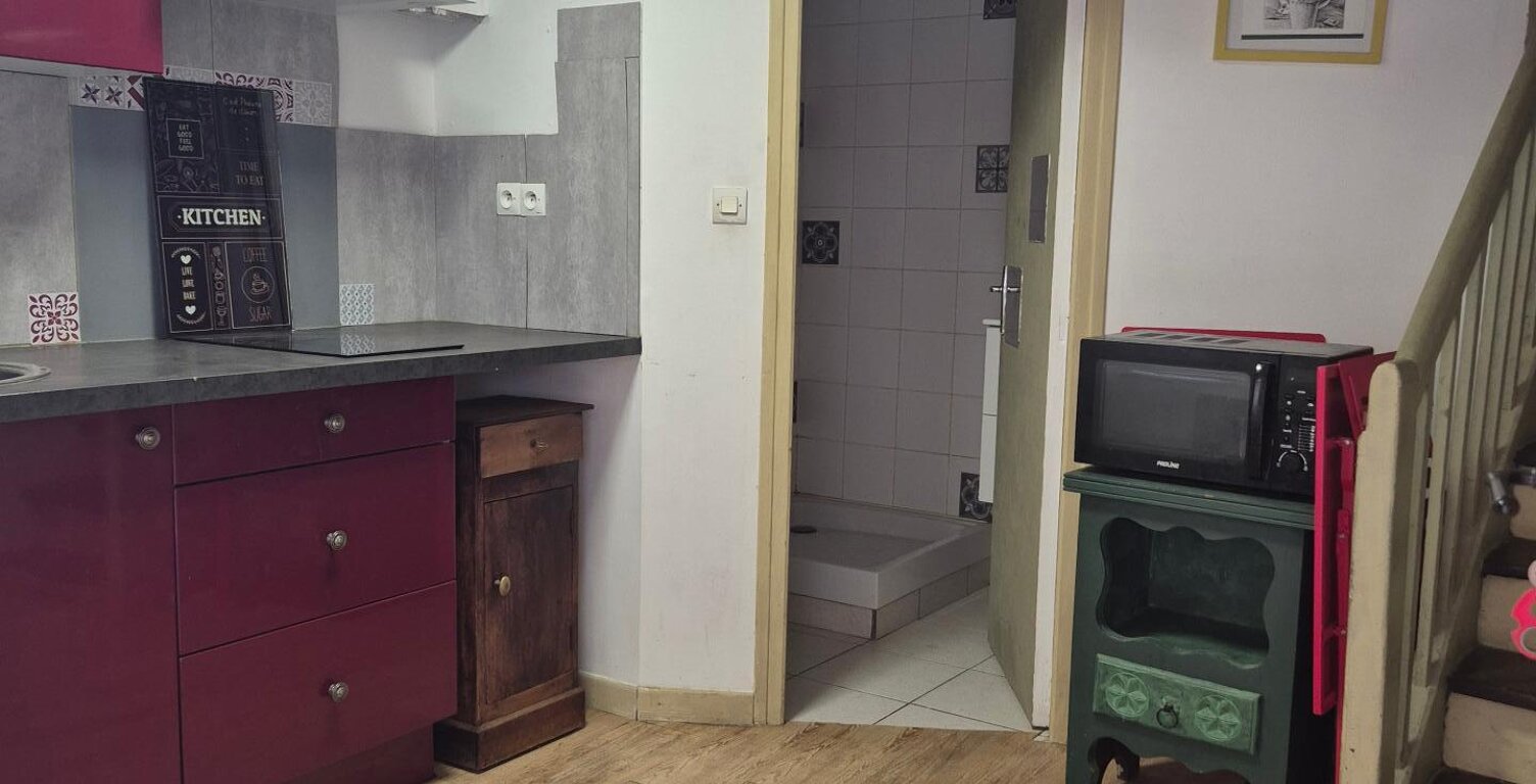 Maison 3 pièces Albi Castelviel — photo 1