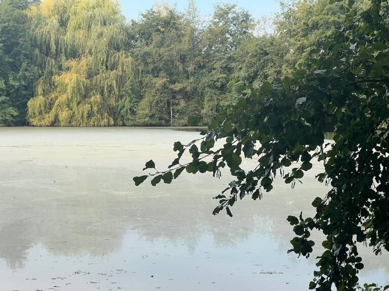 Magnifique plan d'eau à côté de l'Yonne! — photo 1