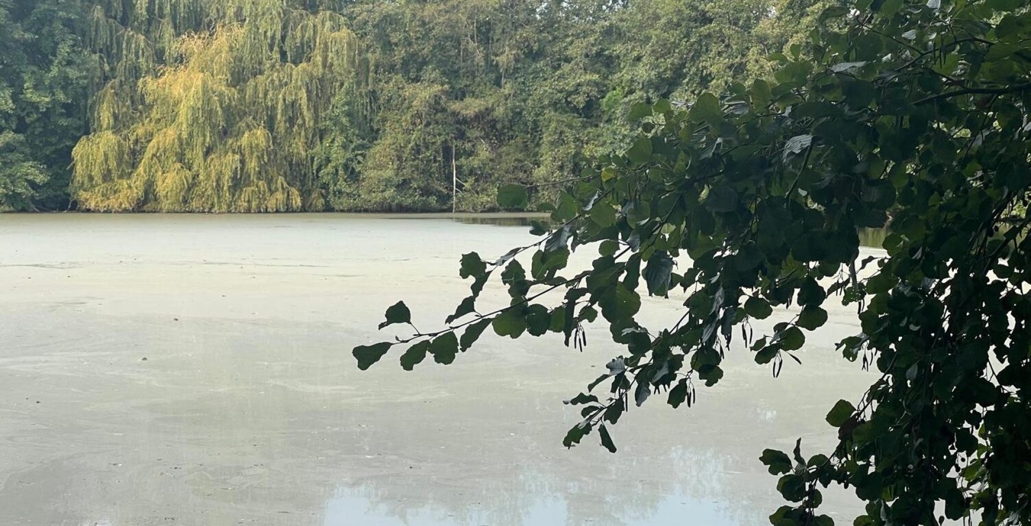 Magnifique plan d'eau à côté de l'Yonne! — photo 1
