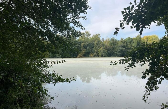 Magnifique plan d'eau à côté de l'Yonne! — photo 4