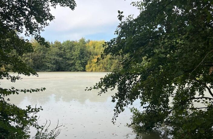 Magnifique plan d'eau à côté de l'Yonne! — photo 5