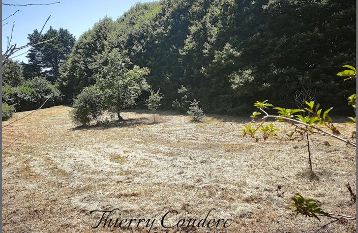 Terrain constructible de 2320 m². — photo 4