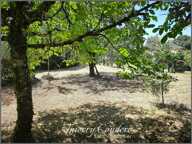 Terrain constructible de 2320 m². — photo 3