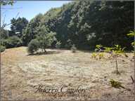 Terrain constructible de 2320 m². — photo 4