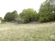 vente terrain - 0 pièce(s) — photo 4