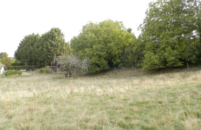 vente terrain - 0 pièce(s) — photo 4