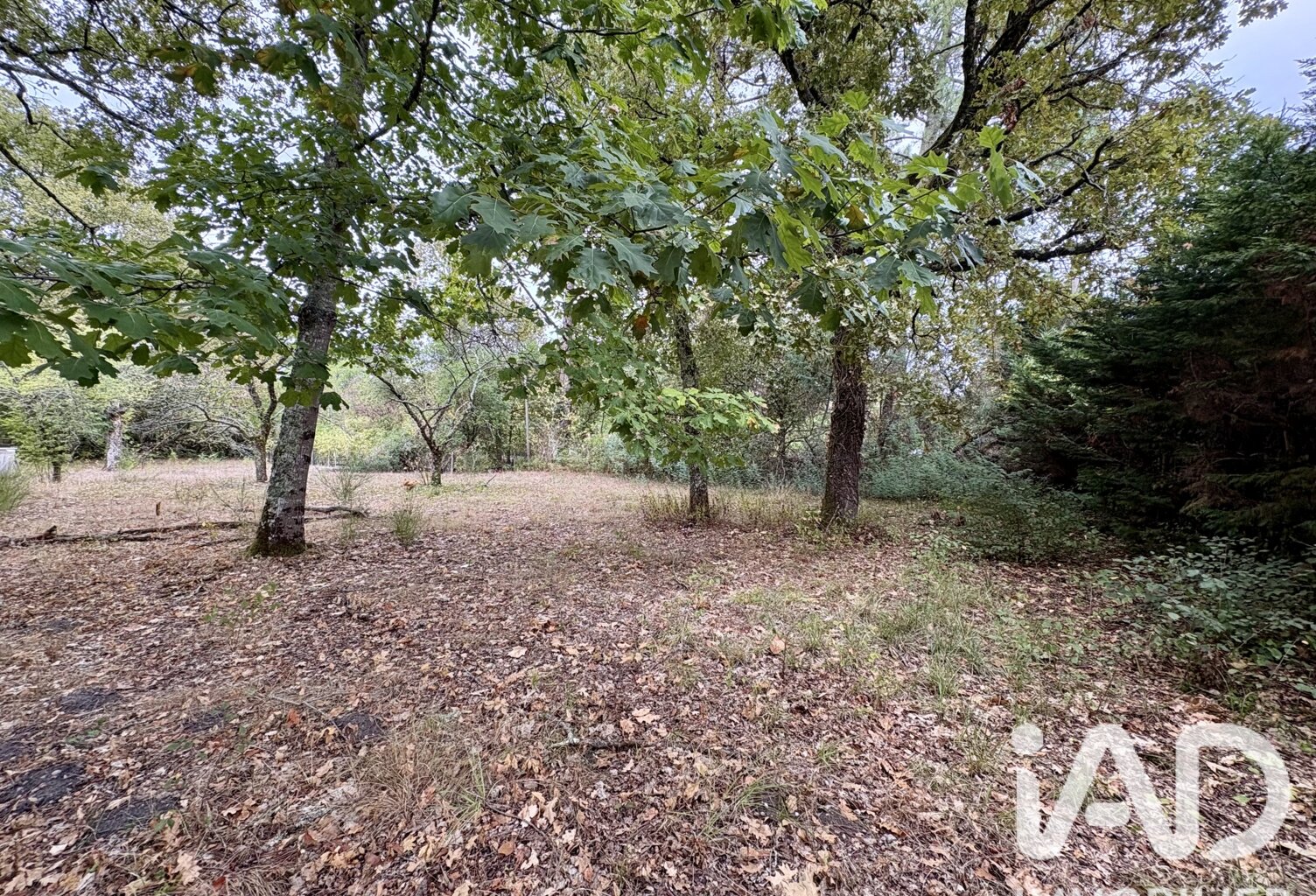 Vente Terrain à bâtir 705 m&sup2; — photo 1