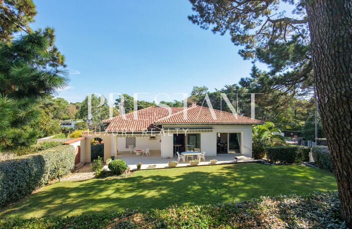 Maison — photo 4