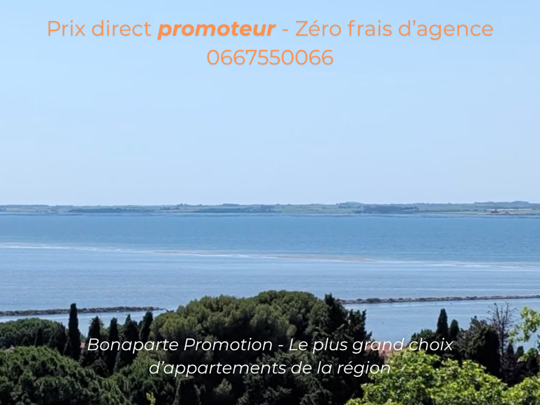 VUE 180 DEGRES SUR L'ETANG DE THAU AVEC COUCHE DE SOLEIL POUR CE 4 PIECES — photo 1