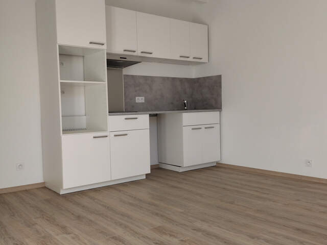 Appartement T2 entièrement rénové — photo du bien