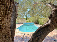 Deux T3 indépendants avec jardin, piscine et garages   Fort potentiel locatif — photo 2