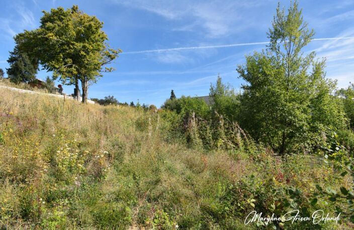 LE REVARD – TERRAIN À BÂTIR DE 985 M² AVEC VUE PANORAMIQUE SUR LES BAUGES — photo 2