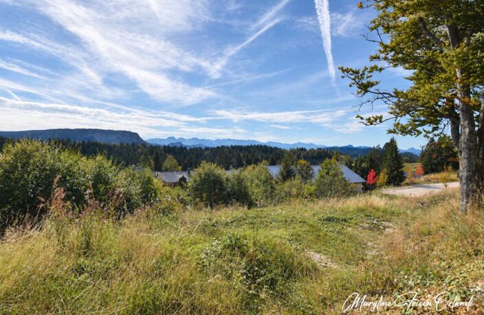 LE REVARD – TERRAIN À BÂTIR DE 985 M² AVEC VUE PANORAMIQUE SUR LES BAUGES — photo 3