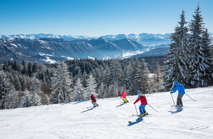 LE REVARD – TERRAIN À BÂTIR DE 985 M² AVEC VUE PANORAMIQUE SUR LES BAUGES — photo 5
