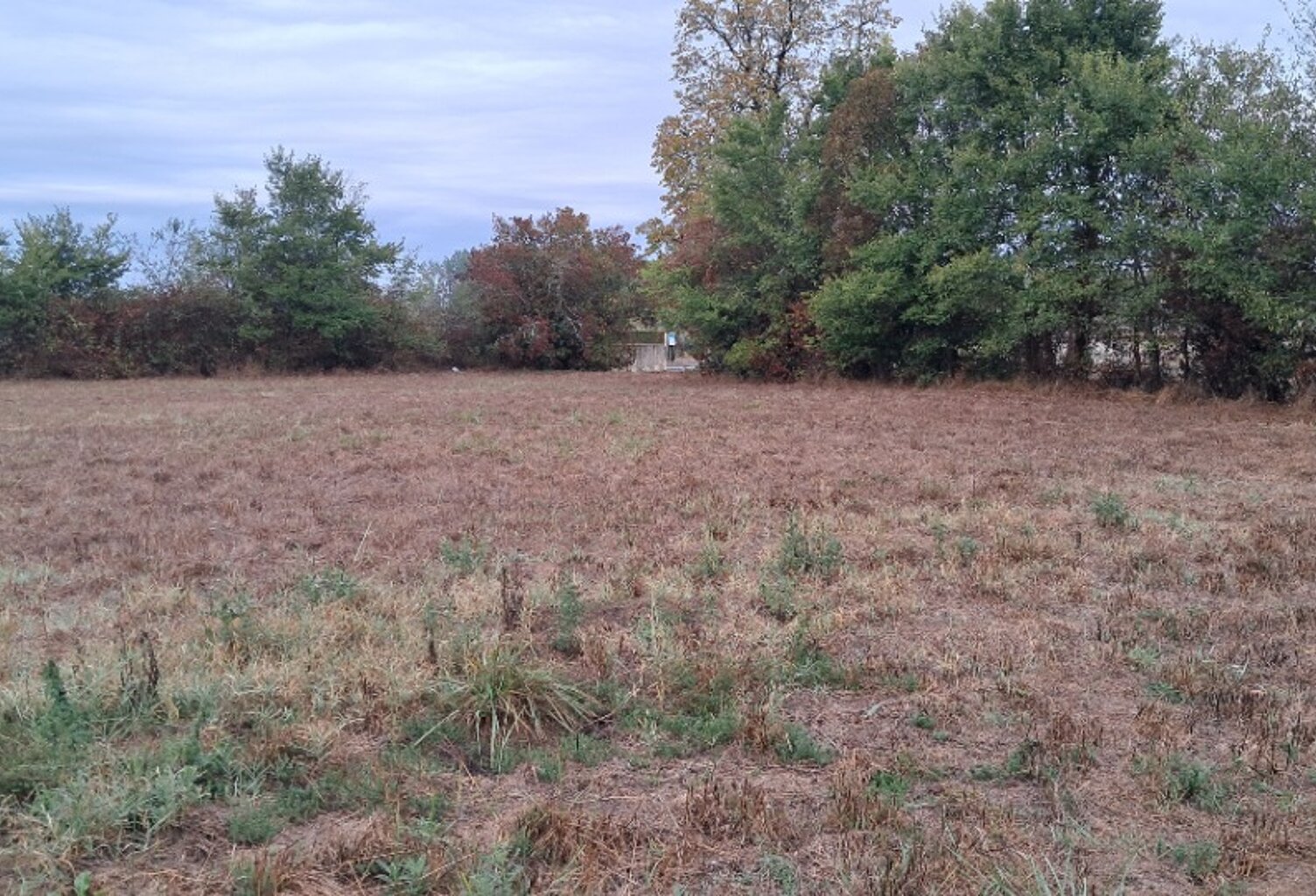Terrain à bâtir à Chepniers (17210) — photo 1