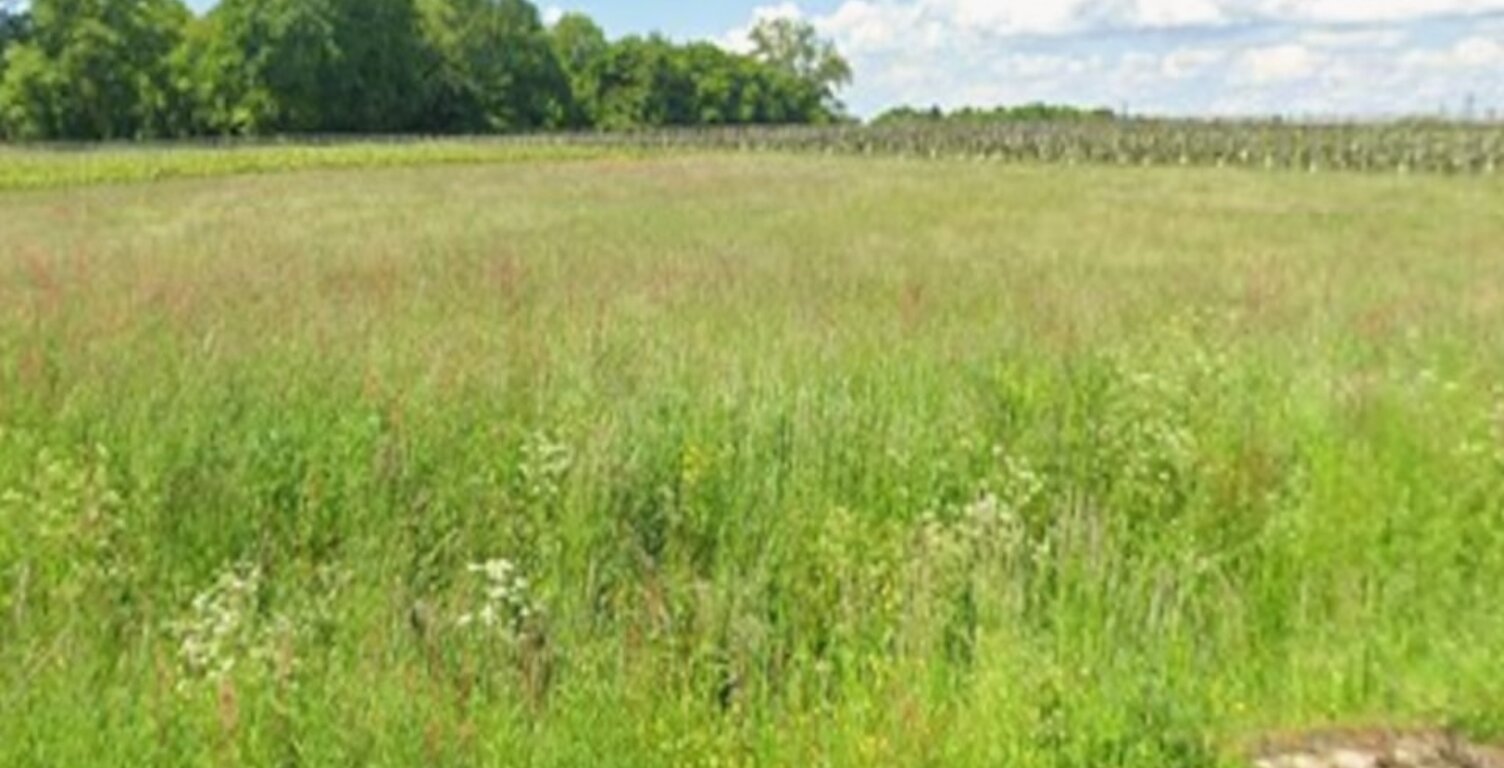 Terrain à bâtir à Saugon (33920) — photo 1