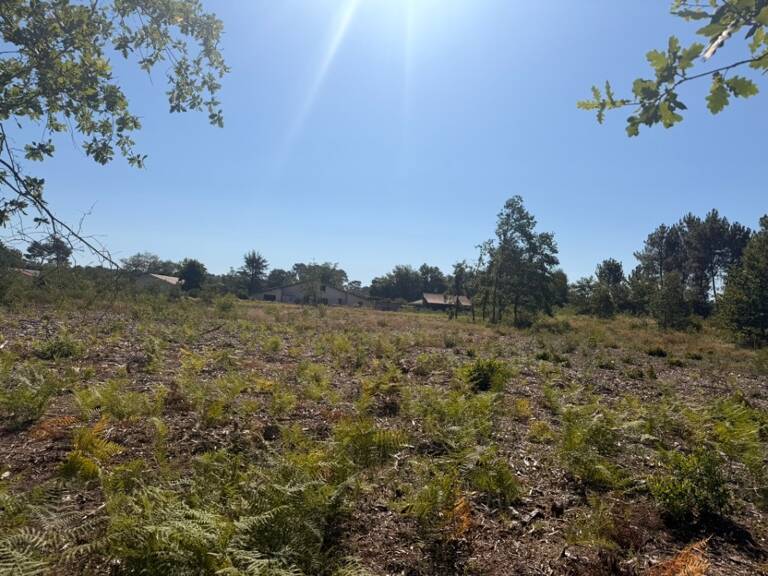 Terrain à bâtir à Salles (33770) — photo 1