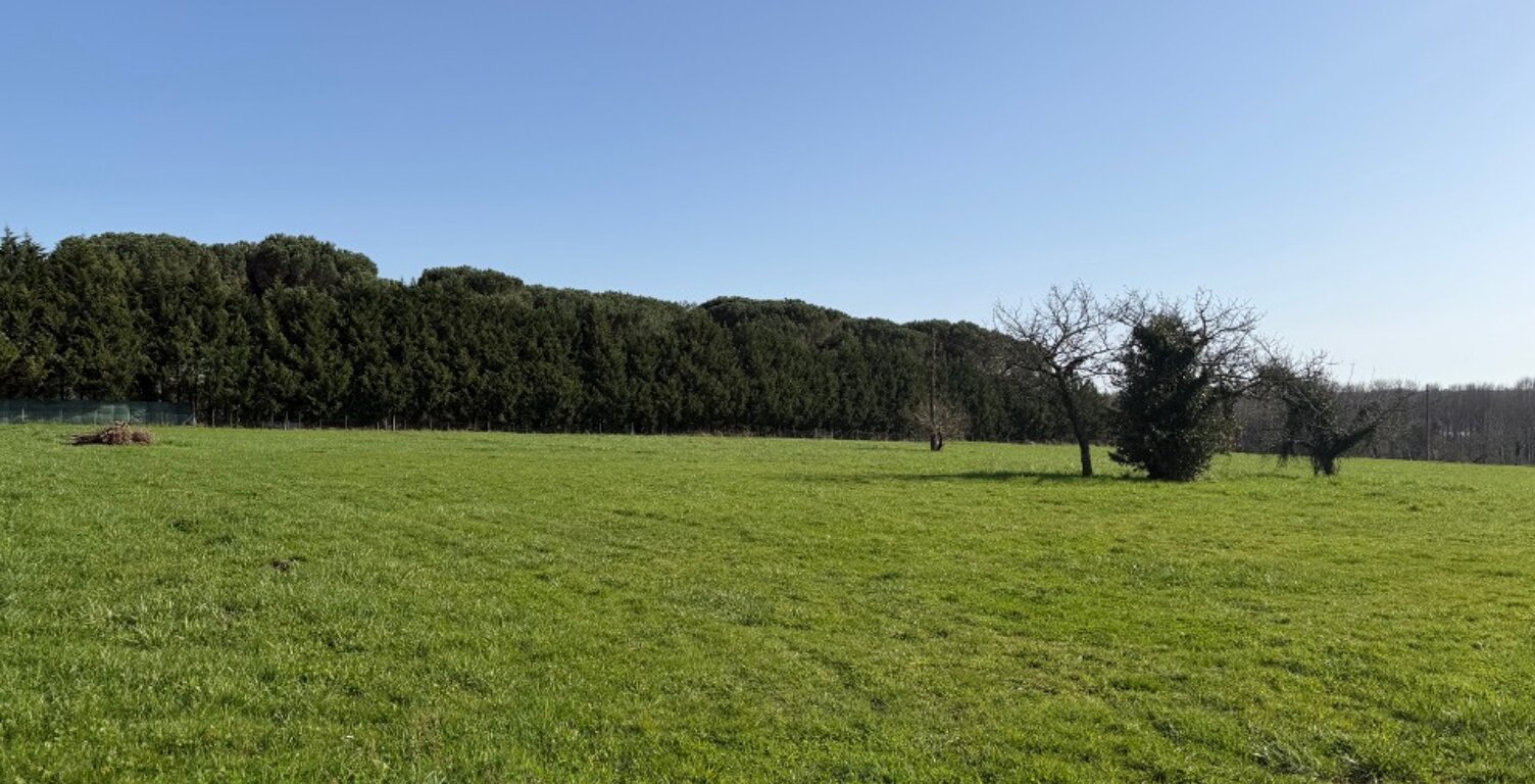 Terrain à bâtir à Lignan-de-Bazas (33430) — photo 1